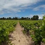 Marrakech Guest In The Heart Of The Vineyard 게스트하우스