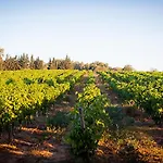Marrakech Guest In The Heart Of The Vineyard 게스트하우스 4*